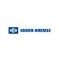 knorr