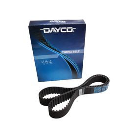 dayco1_